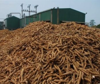 Vận hành hệ thống xử lý nước thải chế biến tinh bột sắn 